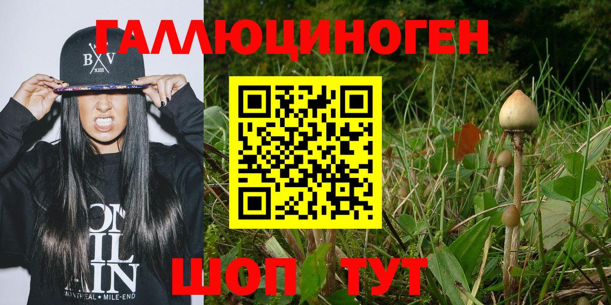 Псилоцибиновые грибы прущие грибы Белорецк